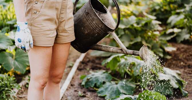 Tips For Maintaining Your Outdoor Space Without Straining Your Body image